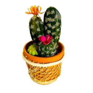 Cactus Artificial Plant Blooming Colors Flower Bohemian Home Decor